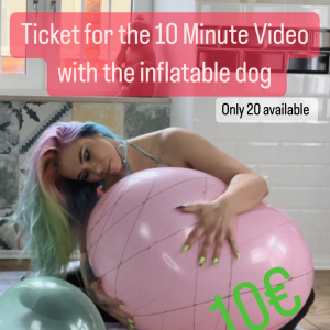 ticket for the 10 min video with the inflatable dog