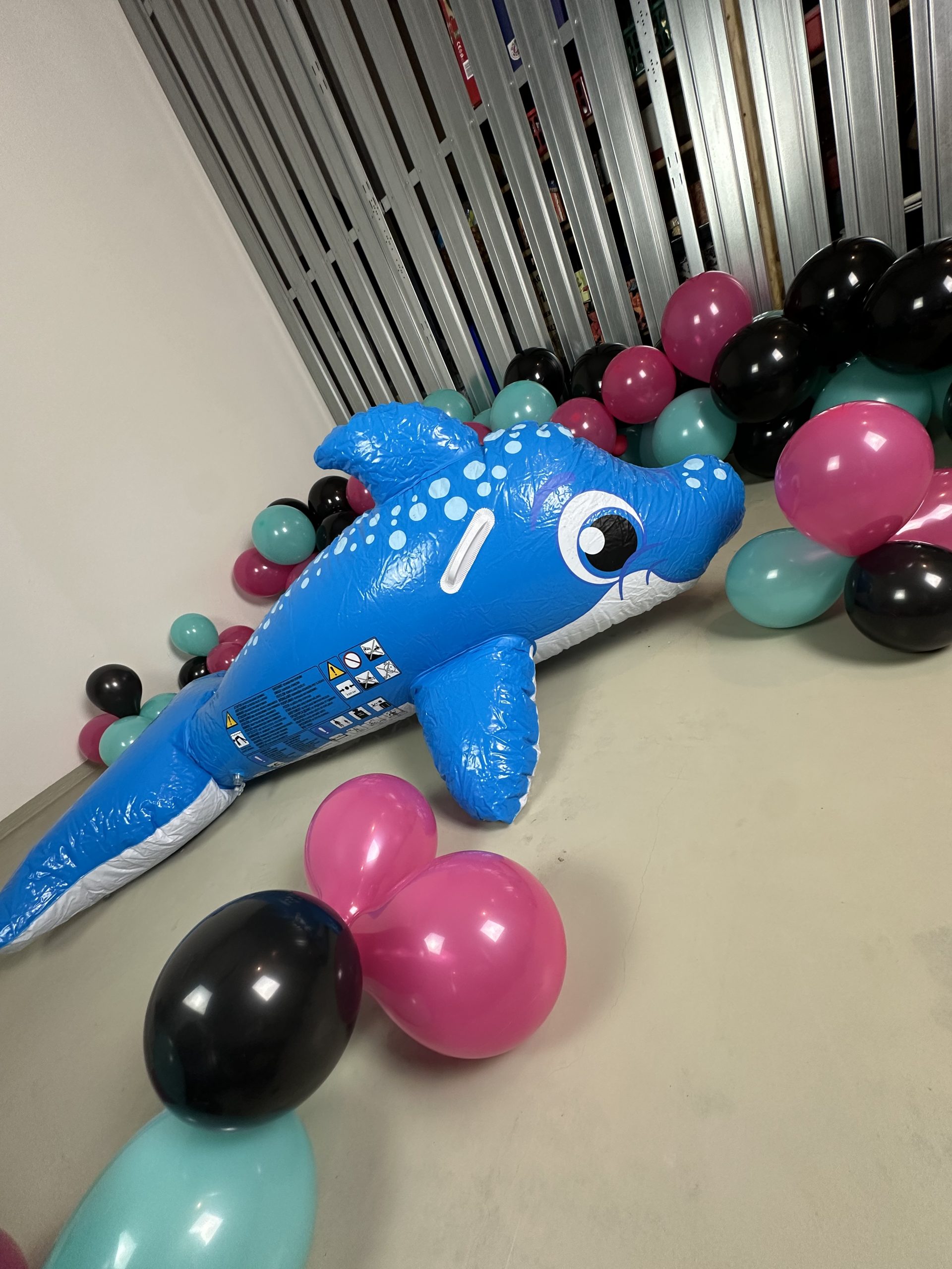 rare Inflatable dolphin dolphin used